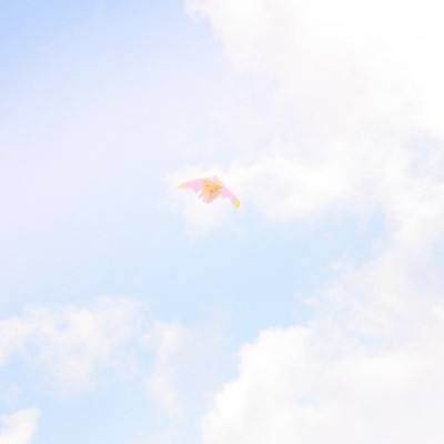 王权降临k官方版